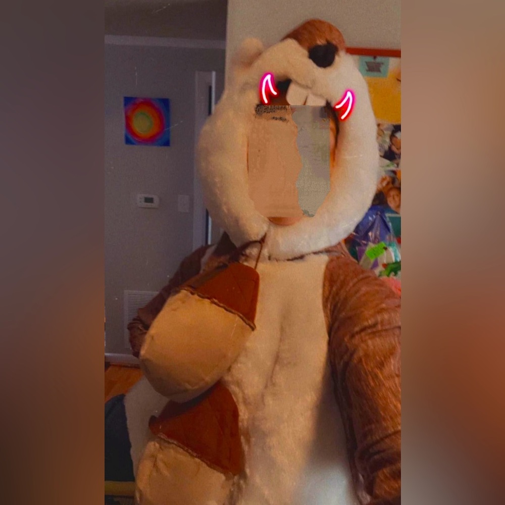 Adult Squirrel Costume